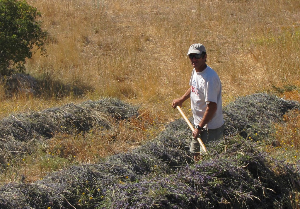 Biodynamic and Organic Farmer/Distiller - Eric Bonnet