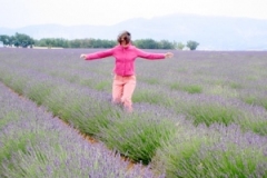 A Tour of the Plateau de Valensole, Fields of Lavandin